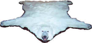 PolarBearRug8-20000.jpg (11517 bytes)