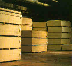 plywoodyard.jpg (6551 bytes)
