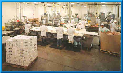 packagefloor.jpg (26393 bytes)