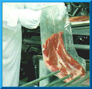 packingline3.jpg (16500 bytes)