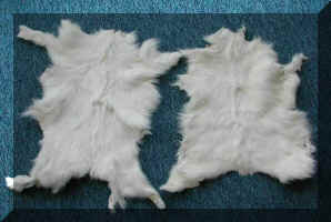 goatlambskin19.jpg (41586 bytes)