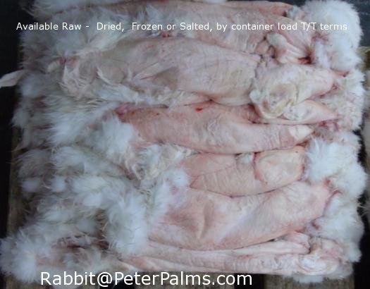 Wild Rabbit Pelt - Rawtdoor
